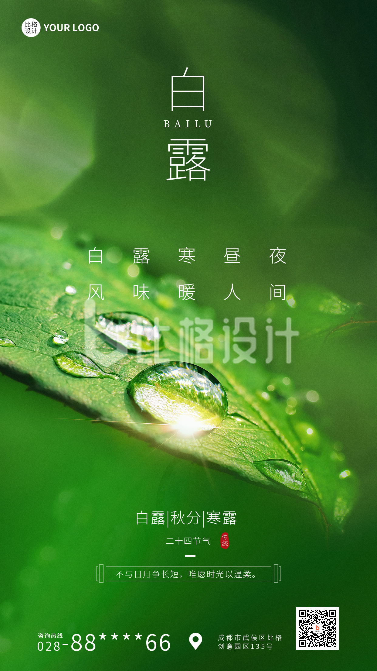 白露二十四节气大自然植物实景手机海报