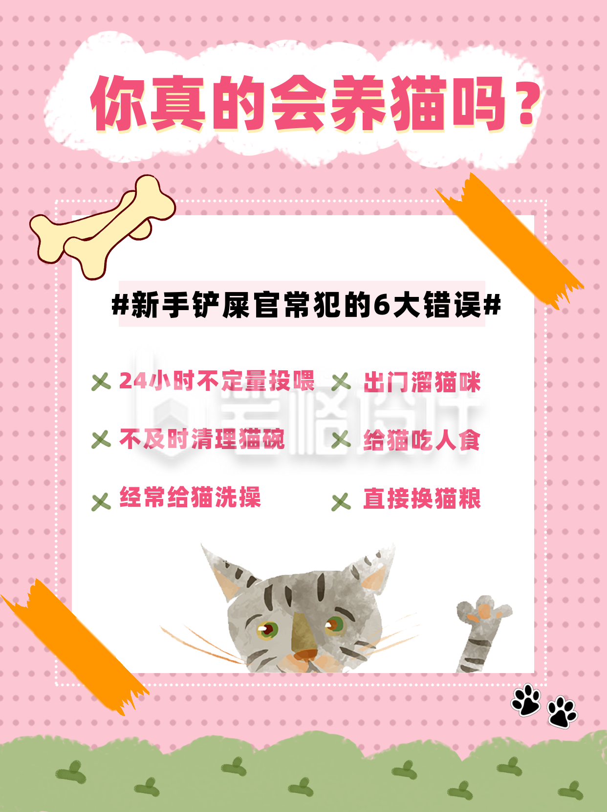 粉色养猫新手常犯的错误小红书封面