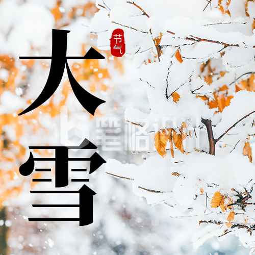 大雪节气实景公众号次图