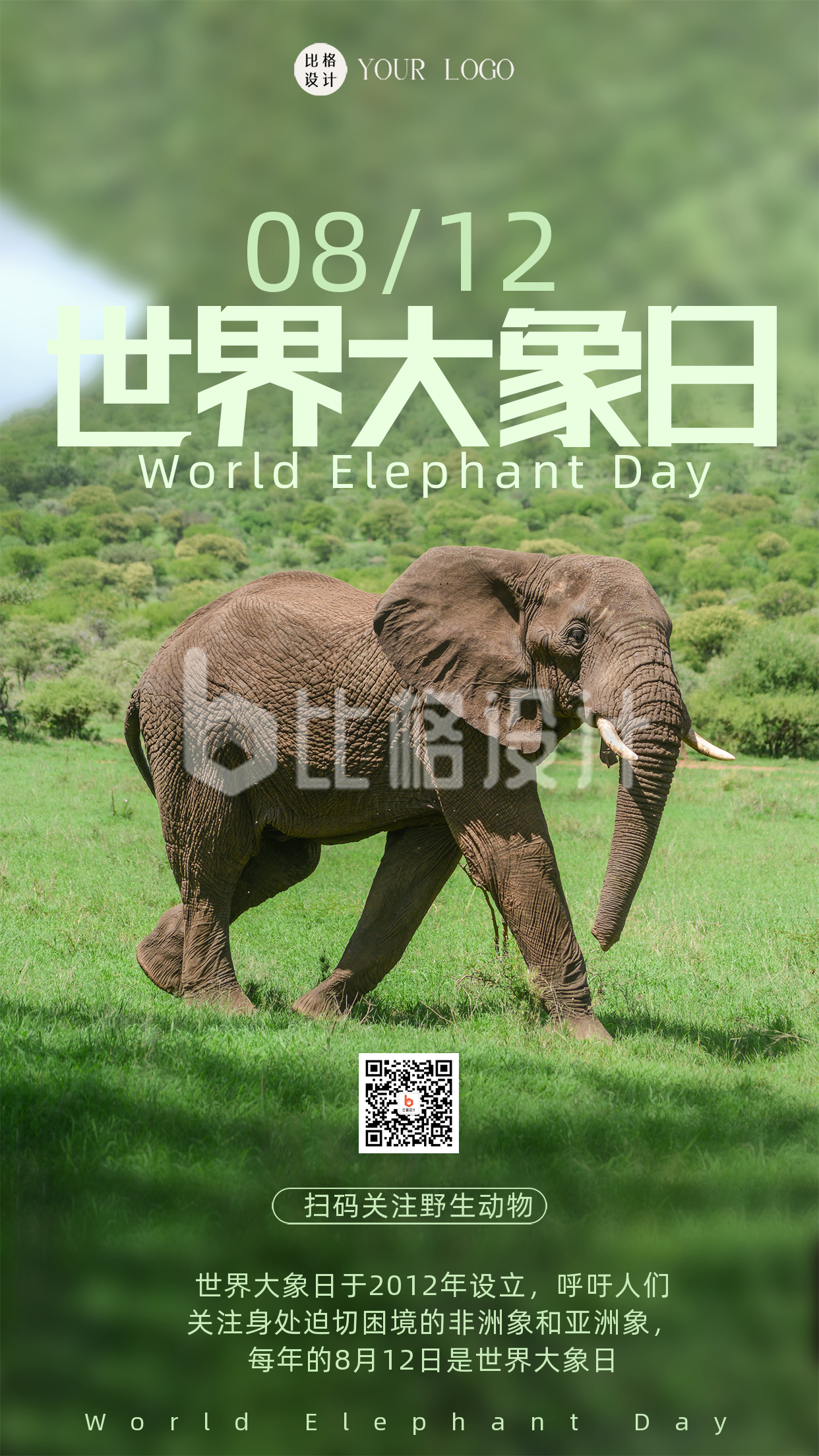 绿色简约风世界大象日宣传手机海报