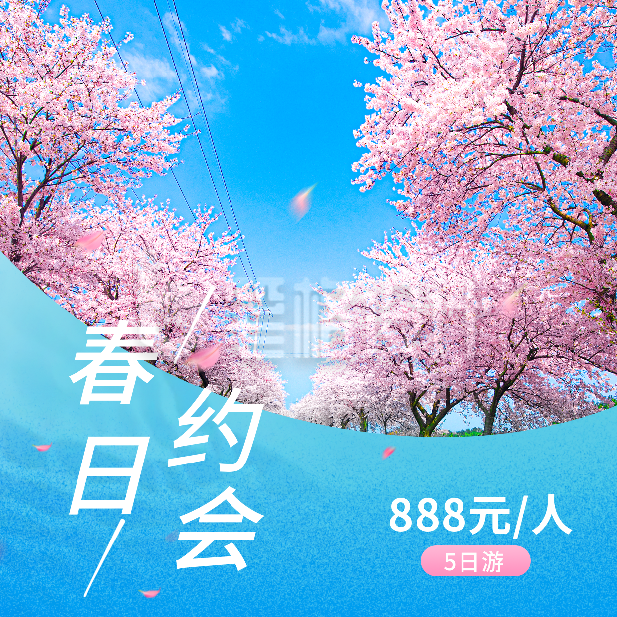 春季春天旅游踏青赏花樱花景点方形海报 春季春天旅游踏青赏花樱花景点方形海报