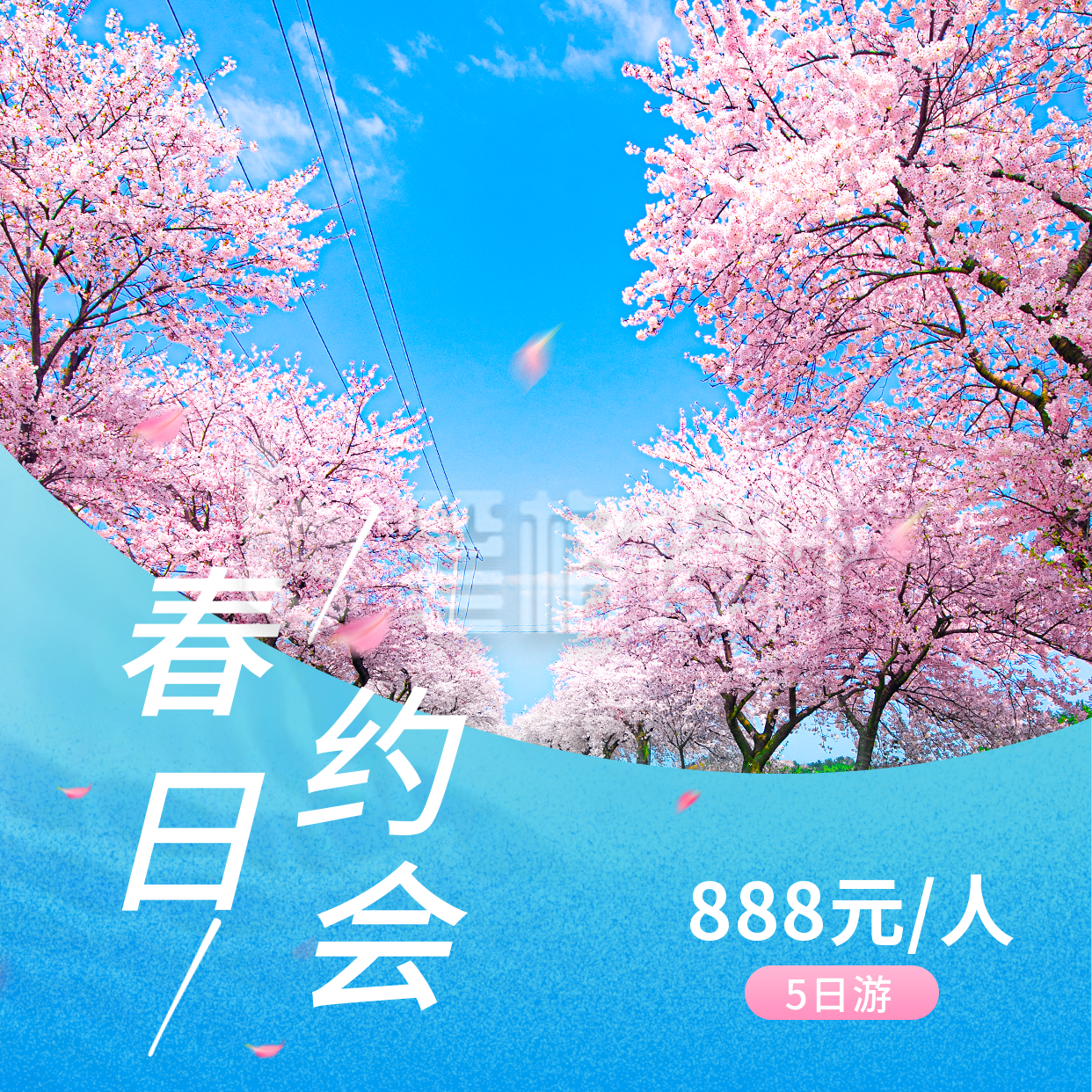 春季春天旅游踏青赏花樱花景点方形海报