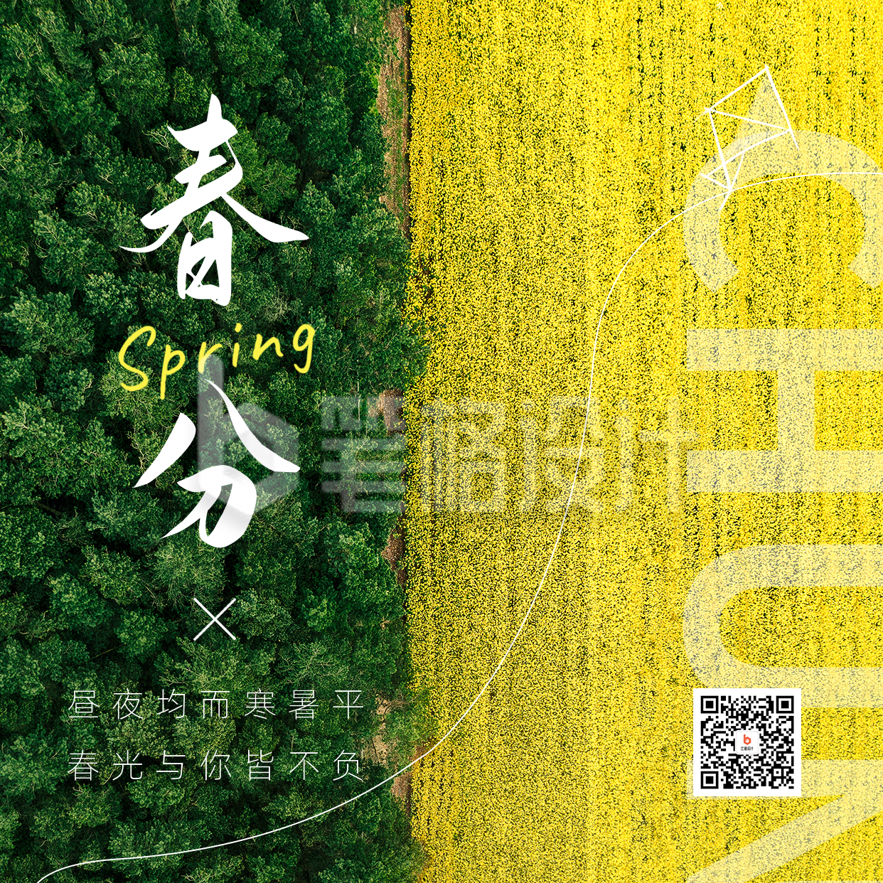 春分节气实景方形海报 春分节气实景方形海报
