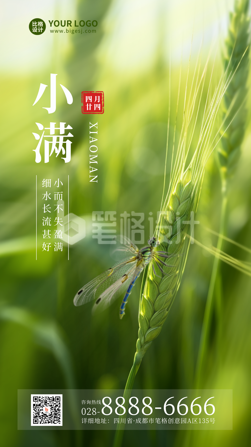 小满节气小麦风景手机海报 小满节气小麦风景手机海报