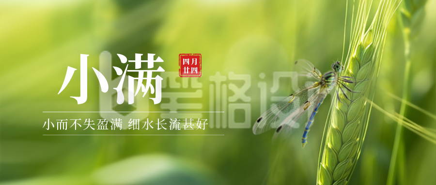 小满节气实景封面首图