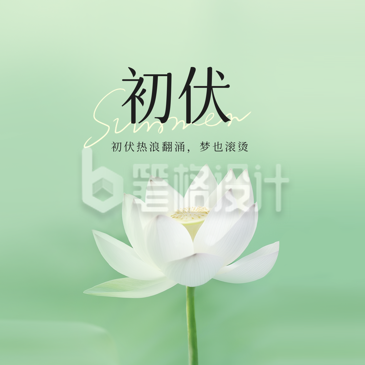 初伏实景方形海报 初伏实景方形海报
