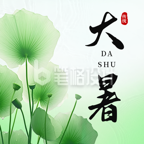 大暑节气荷叶实景公众号次图 大暑节气荷叶实景公众号次图