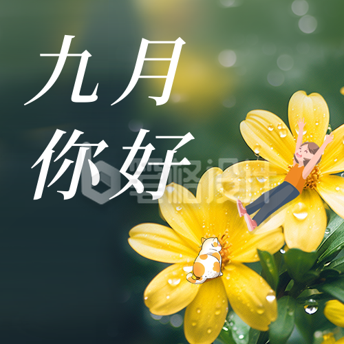 九月你好雏菊实景日签公众号封面次图