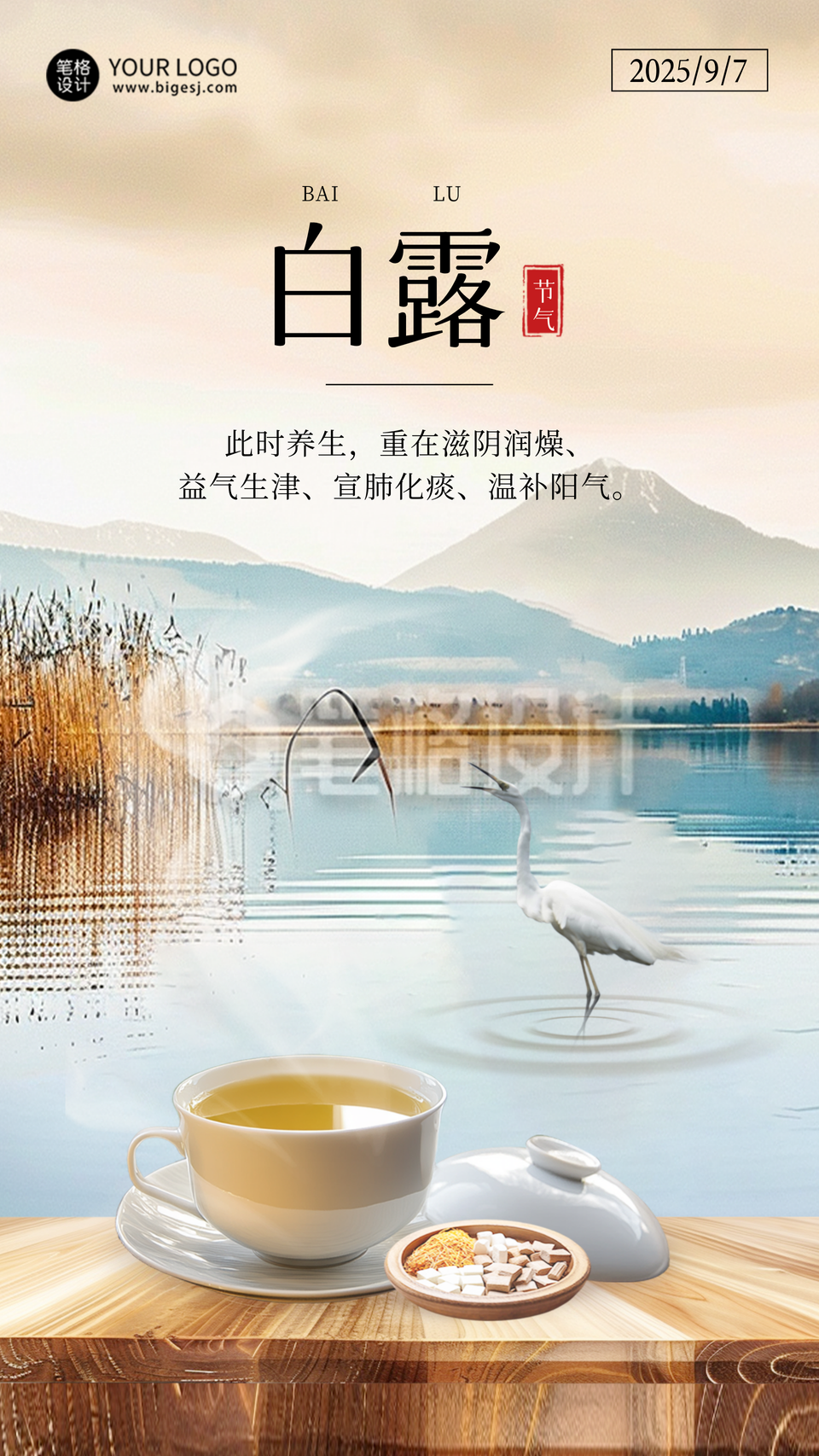 白露滋补茶饮产品养生节气海报