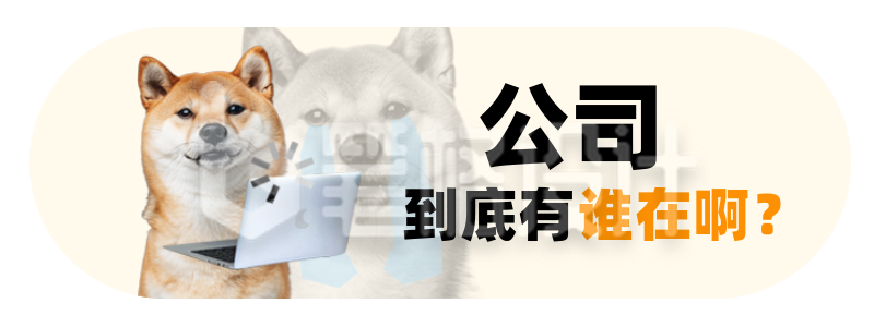 职场打工人娱乐实景小狗趣味胶囊Banner 职场打工人娱乐实景小狗趣味胶囊Banner