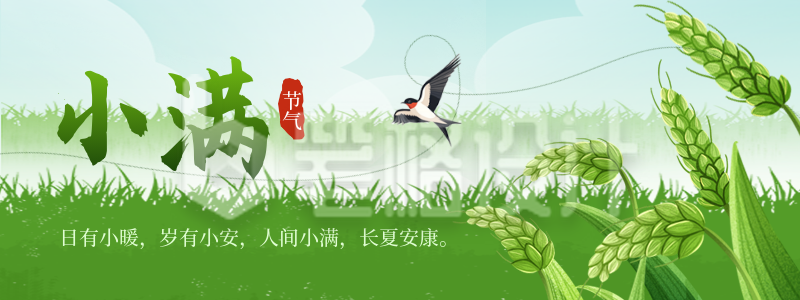 小满节气宣传麦子手绘直播物料