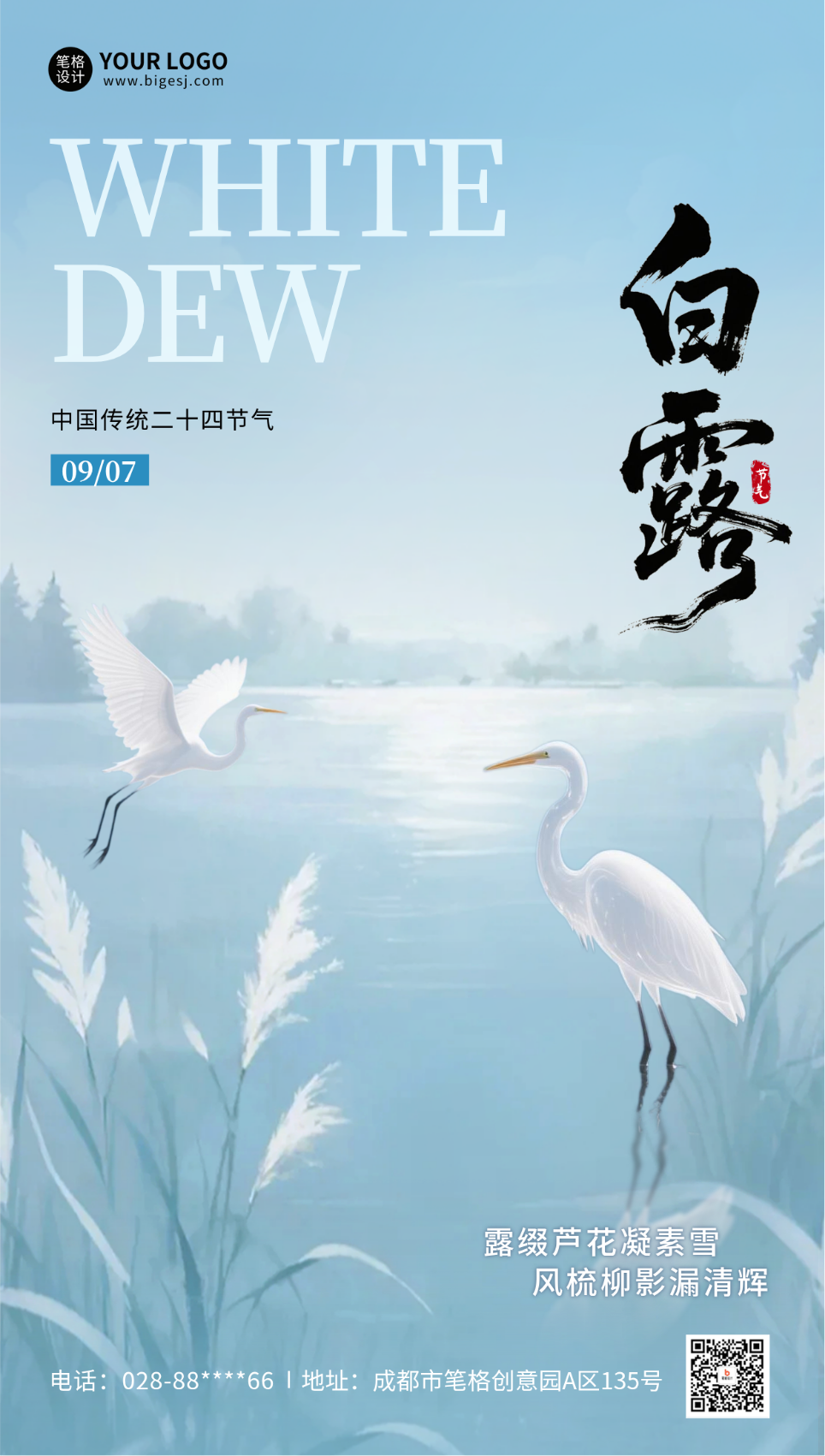 白露节气手机宣传海报
