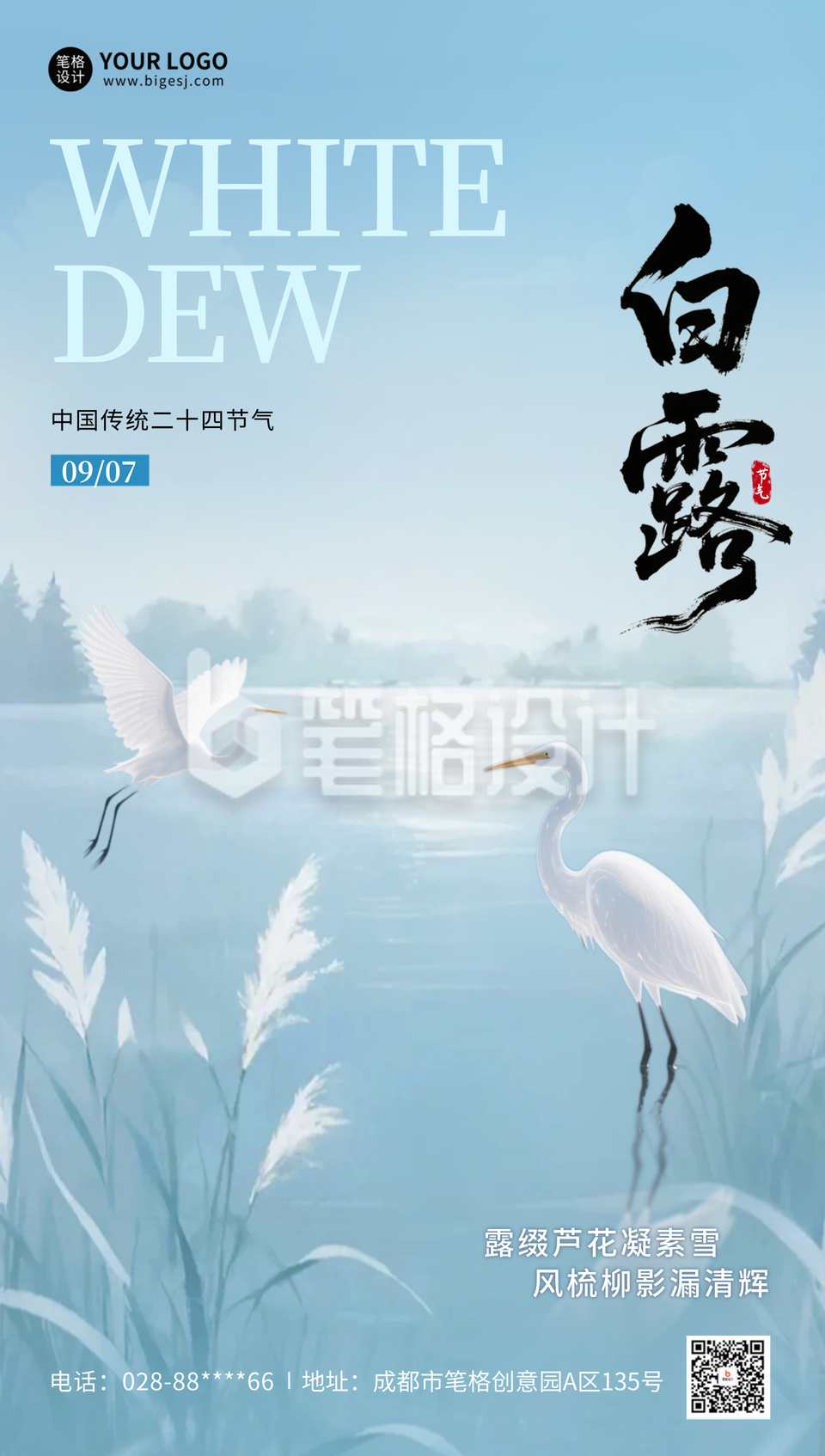 白露节气手机宣传海报