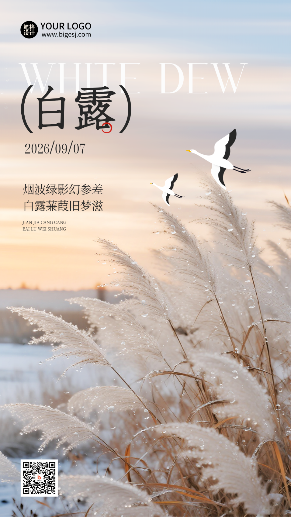 白露实景节气宣传海报