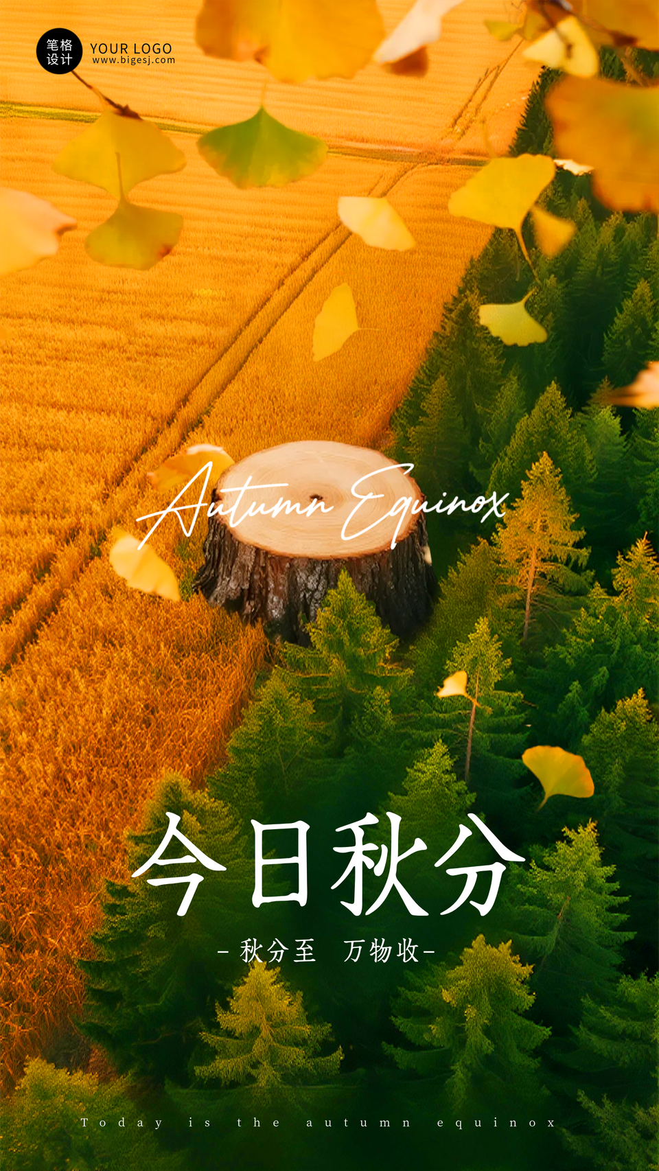 实景风秋分节气海报