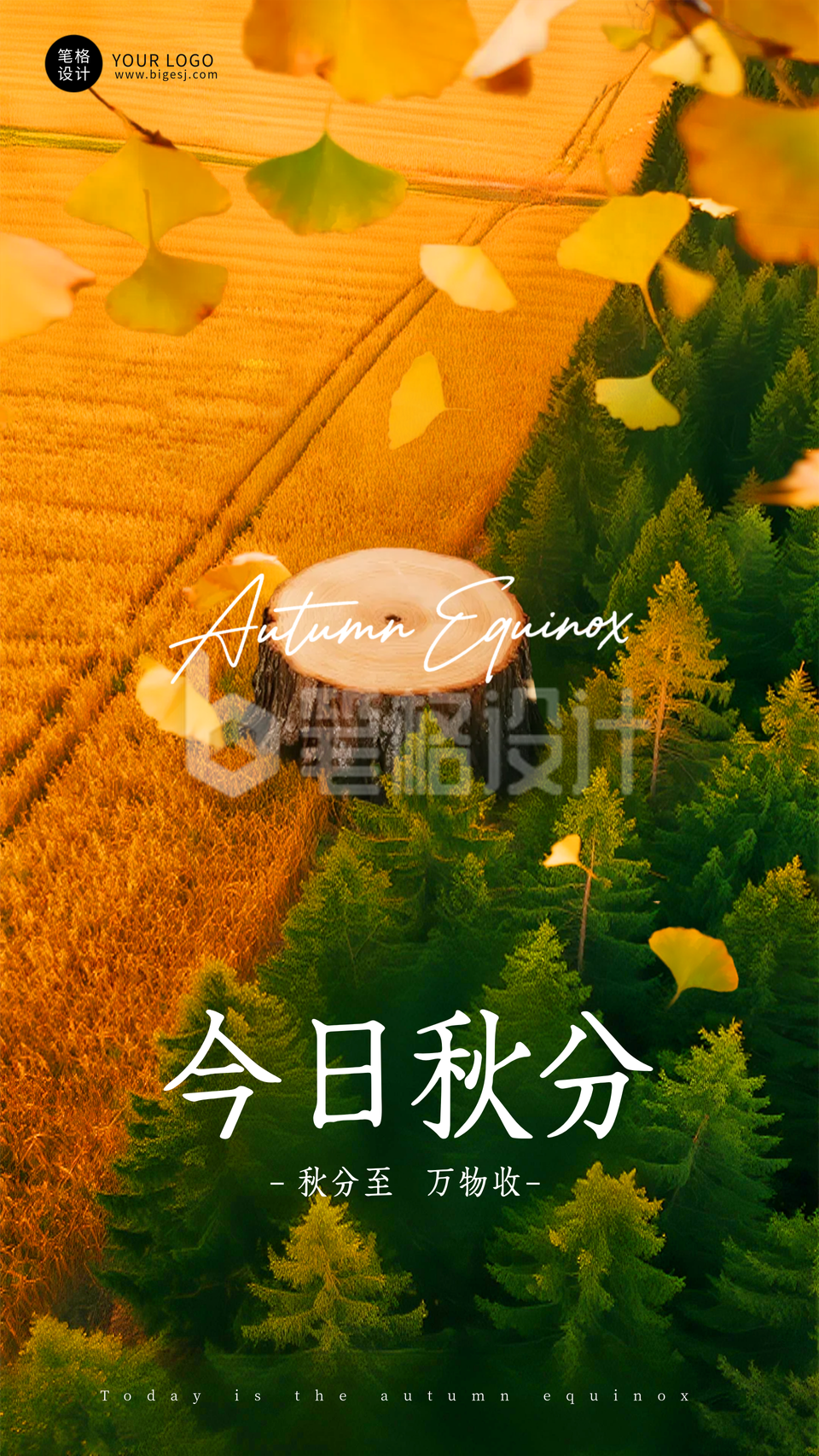 实景风秋分节气海报