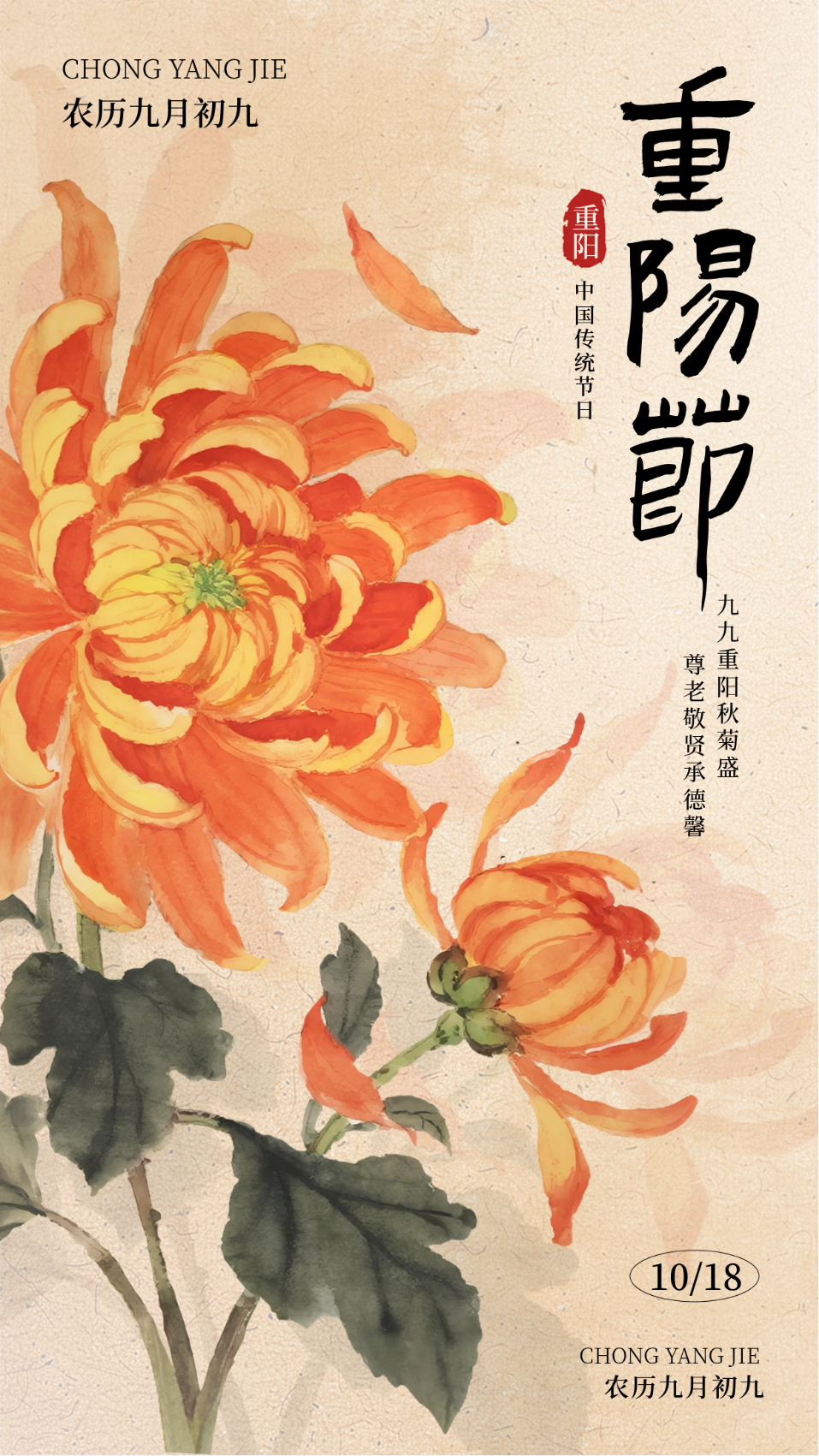九九重阳节菊花宣传海报