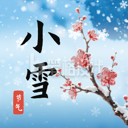 小雪节气梅花宣传公众号次图