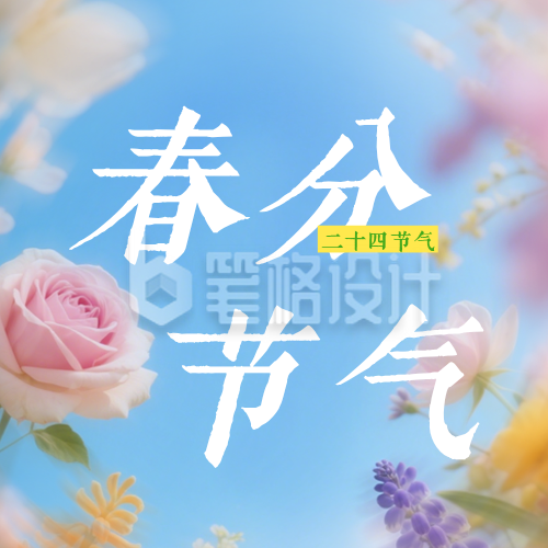 清新春分节气实景日签公众号次图