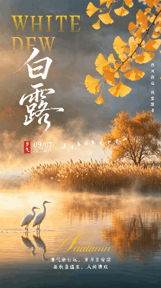 白露节气祝福风景宣传动态海报