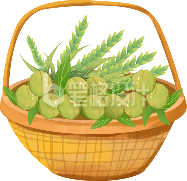 水果植物篮子手绘夏日