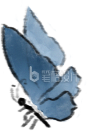 蓝色蝴蝶 蓝色蝴蝶