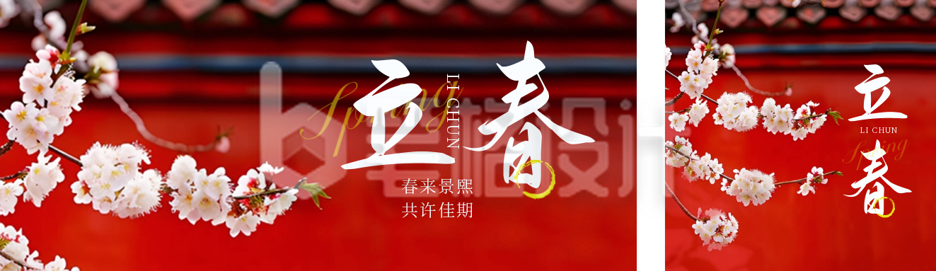 立春节气实景梨花公众号双封面 立春节气实景梨花公众号双封面
