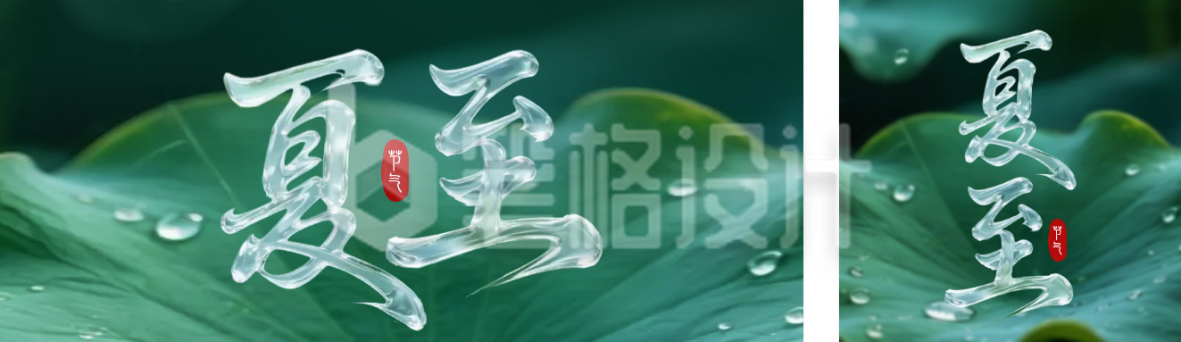 夏至荷叶实景祝福公众号双封面 夏至荷叶实景祝福公众号双封面