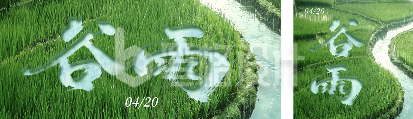 清新文艺谷雨公众号双封面