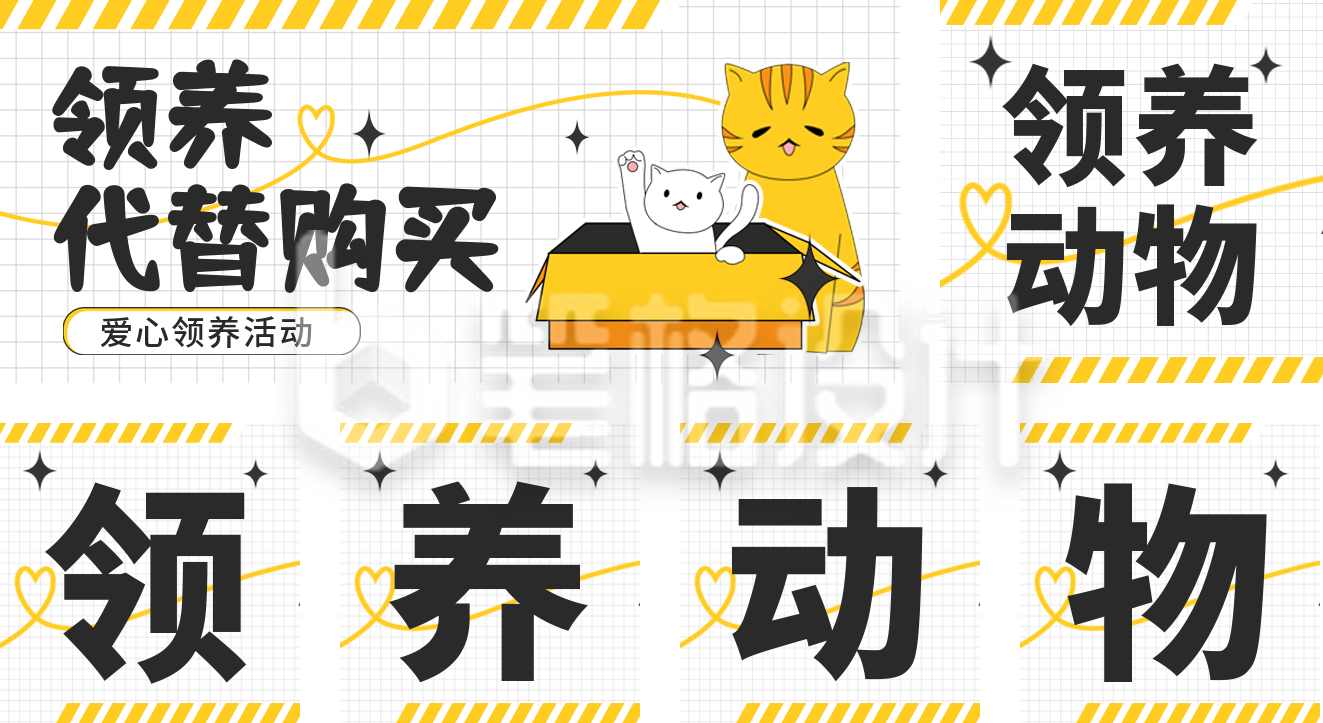 猫咪领养动物宣传公众号套图