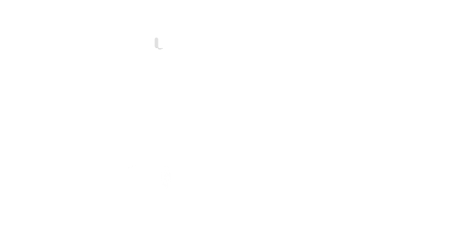 白色光斑