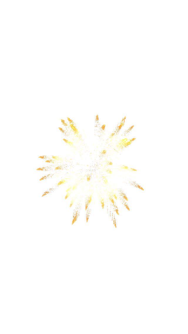 烟花绽放