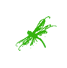 蜻蜓