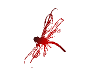 蜻蜓