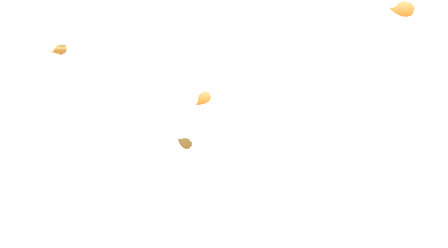 花瓣