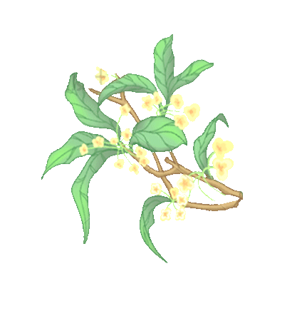 教师节中秋节天灯桂花