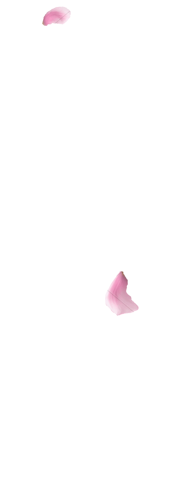 花瓣
