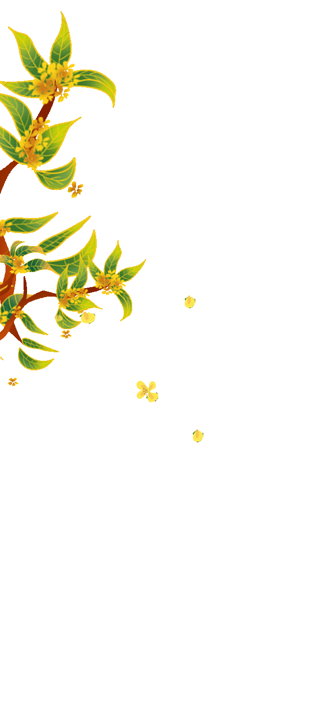 桂花