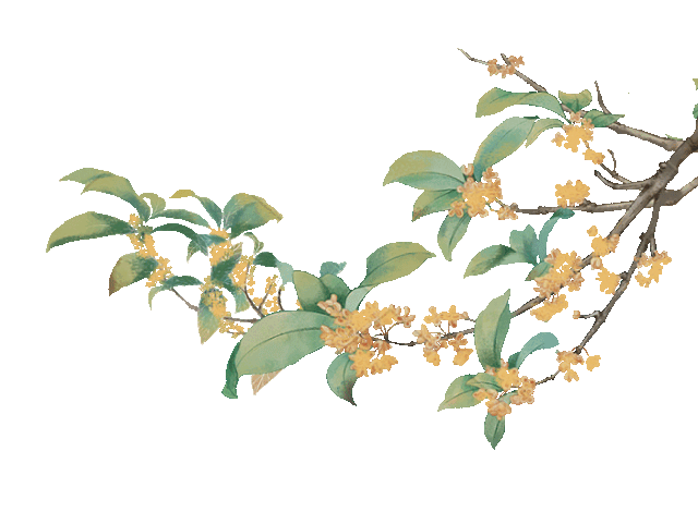 桂花