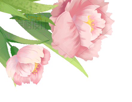 花朵绿叶