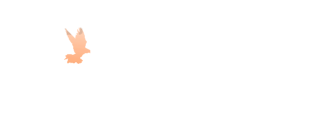 鸽子