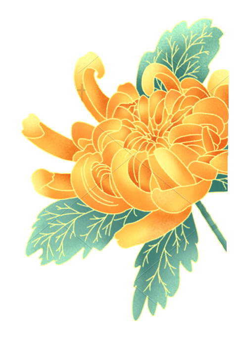 菊花