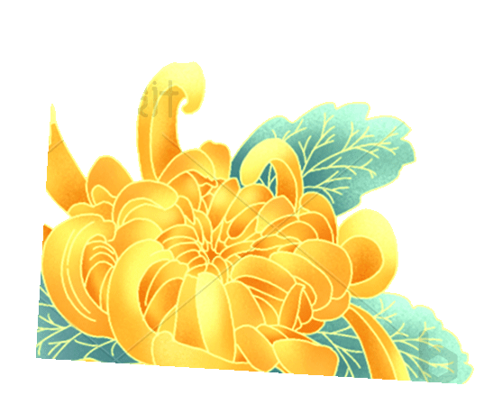 菊花