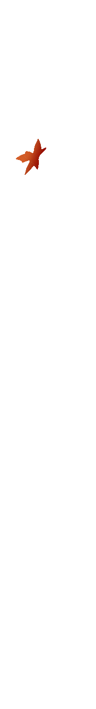 枫叶