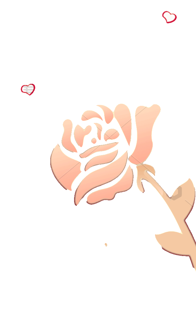 玫瑰花