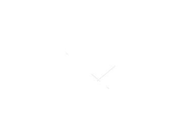 飞舞蝴蝶