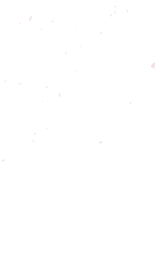 粉色桃花花瓣飞舞