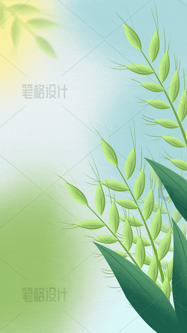 小满节气小麦摇曳动效