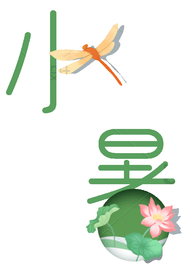小暑创意文字动态特效