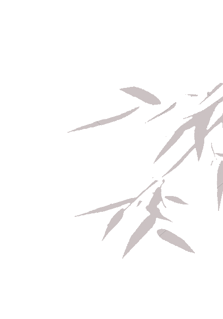 树叶